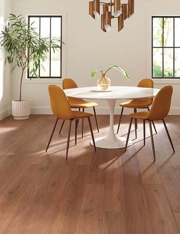 Dining Room Luxury Vinyl Plank LVP -  Carpet Tree in North Liberty, IA