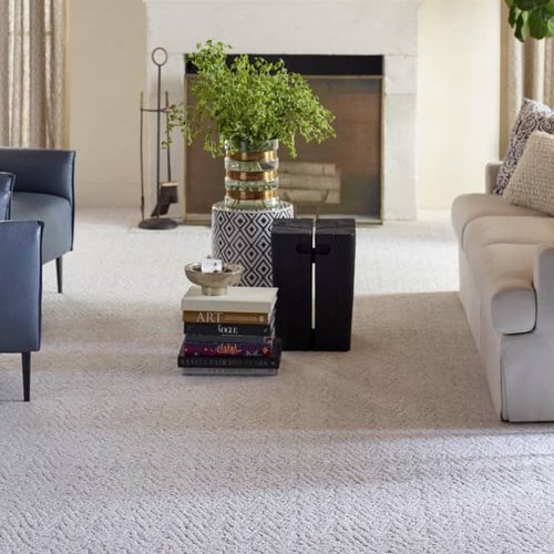 Living Room Pattern Carpet - Carpet Tree in North Liberty, IA