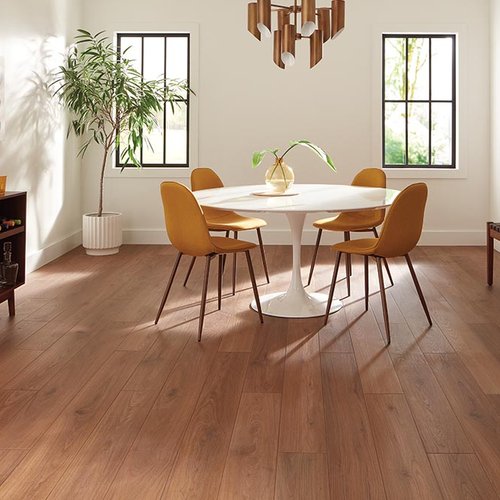 Dining Room Luxury Vinyl Plank LVP -  Carpet Tree in North Liberty, IA