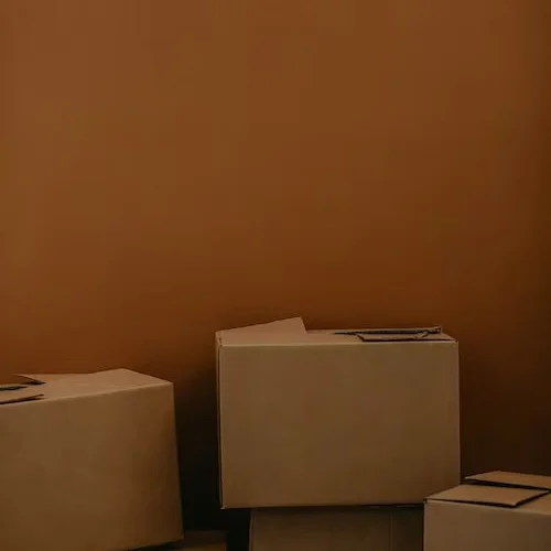 Moving tips from Carpet Tree in North Liberty, IA