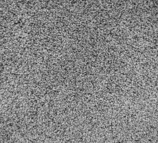 Carpet Tree Carpet Flooring
